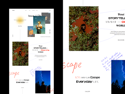Photography Web Concept design interface photography typography ui web webdesign