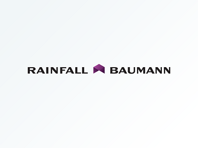 Rainfall Baumann business consultancy marketing