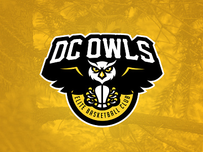 DC Owls basketball branding club dc owls logo owl sport sports team