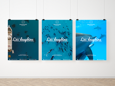 Poster Dolphins brand branding dauphins design dolphin identity