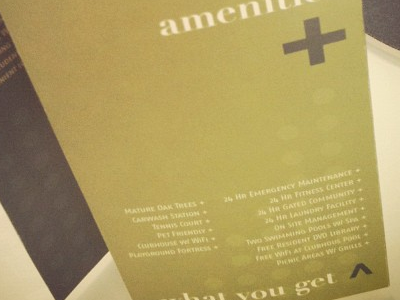 Amenities Brochure apartments brochure graphic design print