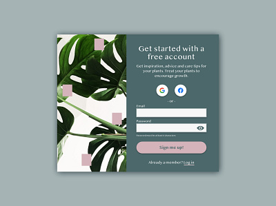 001 Sign Up challenge signup ui uichallenge uiux ux website website design