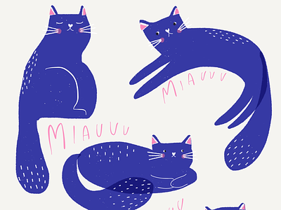 Miauuu animals cat color digital illustration ipad