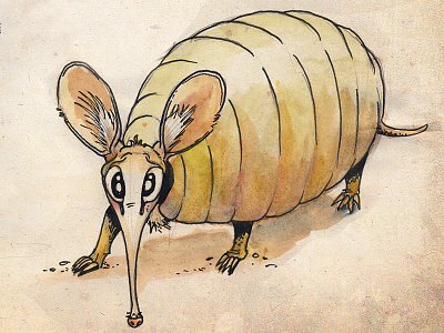 Armadillo Watercolour Sketch armadillo character childrens book cute illustration ink sketch soft palette watercolor