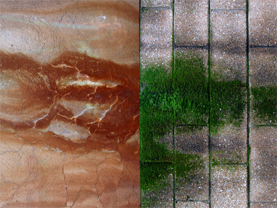 RUST|MOSS moss pattern photography rust wall