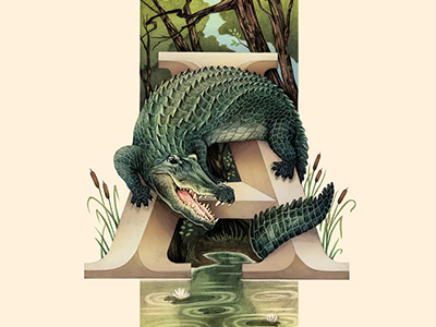 Alligator, Living Lettering alligator alphabet animals environmental illustration lettering nature swamp typography