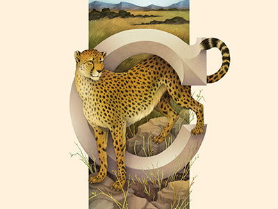 Cheetah, Living Lettering alphabet cheetah environmental illustration letter c lettering savannah typography