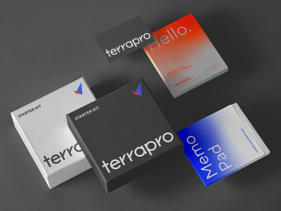 Terrapro Brand Identity brand identity branding design graphic design icon logo typography ui ux vector