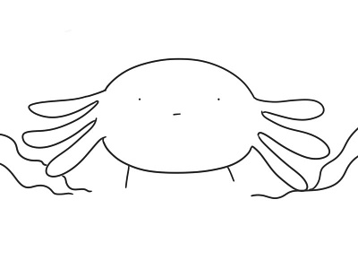 Axolotl draw