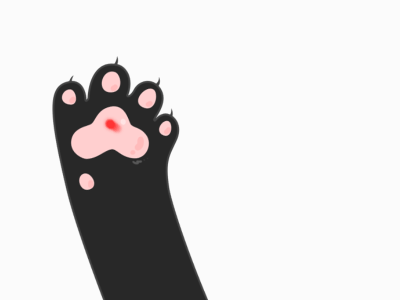 cat dot