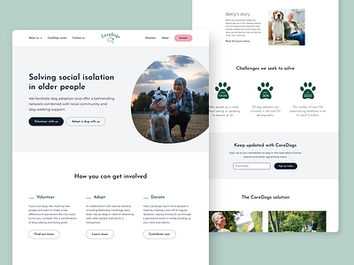 CareDogs Homepage caredogs charity dog charity homepage icon design ui design ux design web design