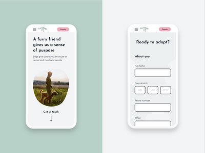 CareDogs - brand pattern on site branding caredogs charity dog charity form design hero design mobile patterns ui design ux design website design