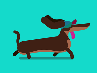 Winner Wiener dachshund dog happy teckel wiener