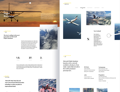 Microsoft Flight Simulator ✈ | Simplified Website clean design flat flight microsoft minimal simulator travel traveling trip ui ux web website