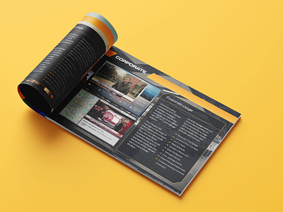 Brochure Design branding brochure print design