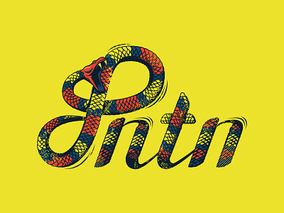 PNTN (PREMIUM NATION) CLOTH ILLUSTRATION characterdesign clothing brand clothing design design illustration snake snake logo vector