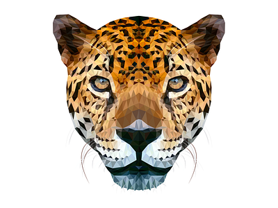 Jaguar art illustration jaguar lowpoly vector wildlife