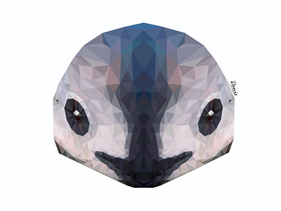 Vaquita Marina animal art graphic design illustration lowpoly sea vaquita vector