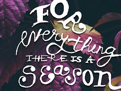 Seasons. hand lettering illustration