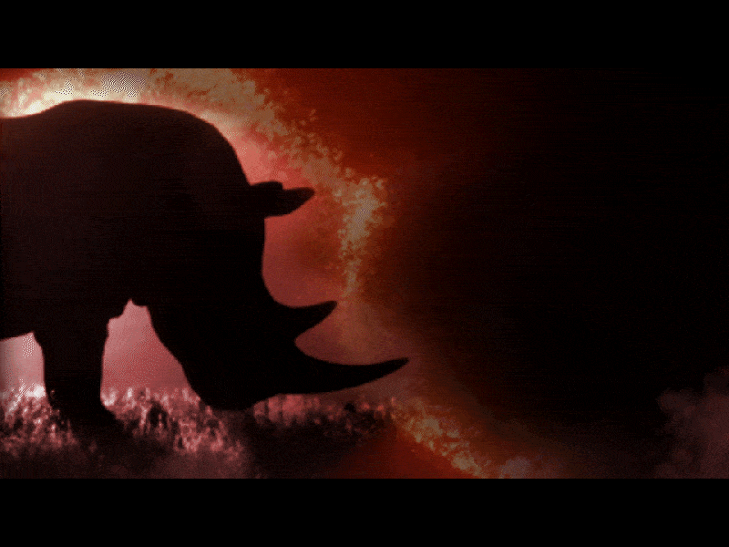 Frame 01: Atmospheric Rhino Title Sequence after effects animation design main title design motion motion design motion graphic motion graphics photoshop rhinos styleframe styleframes title sequence titles