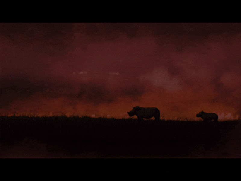 Frame 02: Atmospheric Rhino Title Sequence adobe after effects adobe media encoder adobe photoshop animation artist designer editing footage graphic design main title design main title motion design mograph motion motion design motion graphic artist motion graphics rhino title sequence titles video