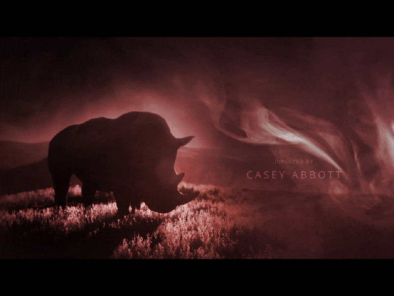 Frame 04: Atmospheric Rhino Title Sequence adobe after effects adobe media encoder adobe photoshop animation design editing main title design main title sequence mograph motion motion design motion graphics motiongraphics title sequence titles video