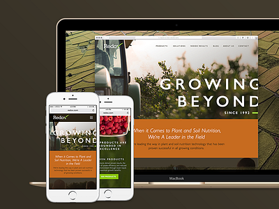 Redox Website brand marketing mobile responsive website