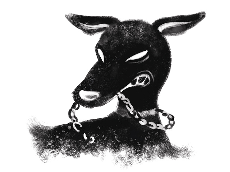 Hound band album music spot editorial dog hound shadow painting digital art illustration