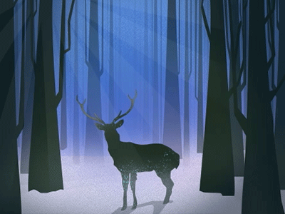 Woods deer gif night woods