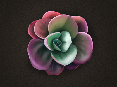 Flower dribbble