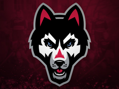Huskies (Version 2) branding huskies husky logo sports
