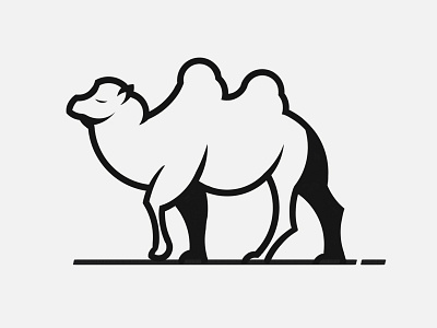 Dromedary