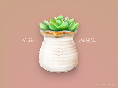 Hello Dribbble :) dribbble hello plants succulent welcome