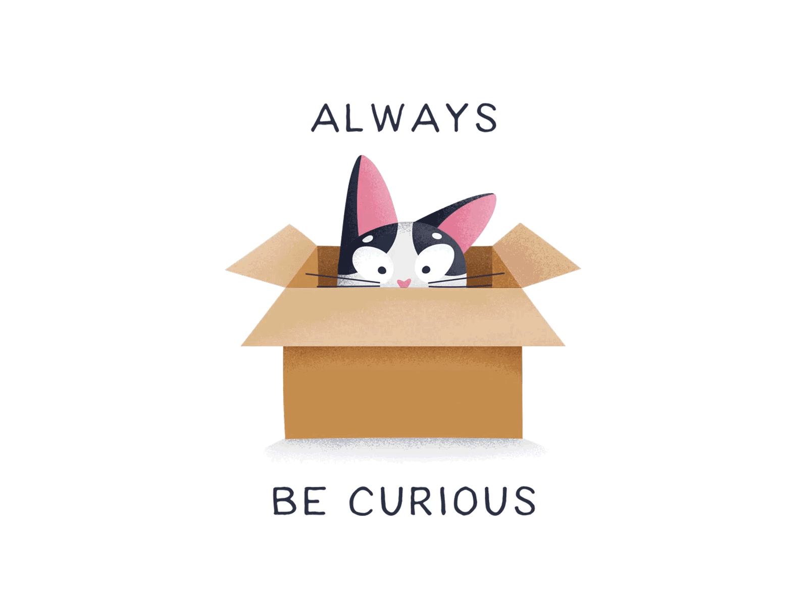 Be Curious aftereffects animated animated gif cat curiosity curious dribbbleweeklywarmup gif illustration motion design