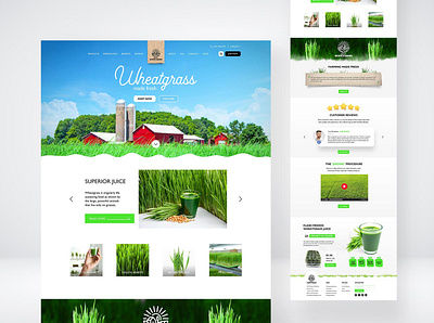 Mount Home Farms UX/UI Design (proposal 1) adobe design ui ux uxui