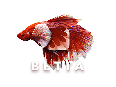 Day 5 - App Icon app icon betta dailyui day5 fish