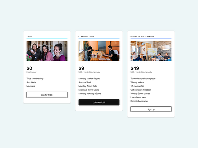TravelNetwork | Pricing Cards 2021 cards design payment pricing product ui ux
