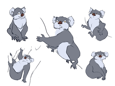 Koala animal character character design koala sketch