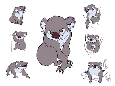 Koala animal character character design koala sketch