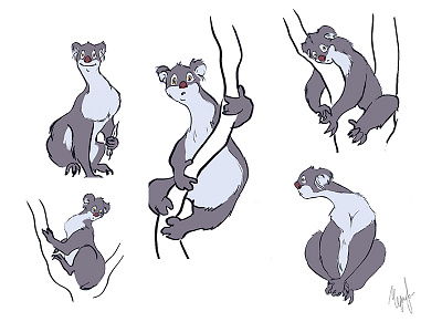 Koala animal character character design koala sketch