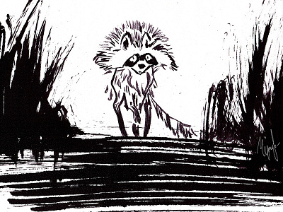 Raccoon animals character character design childrens illustration illustration ink raccoon