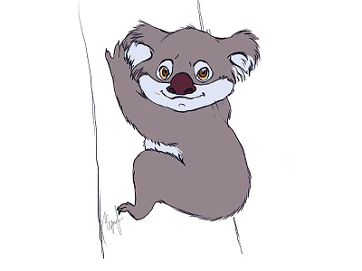 Koala