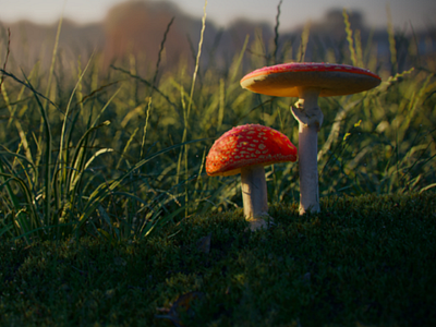 Red Mushroom 3dart blender megascans morning photorealistic shine