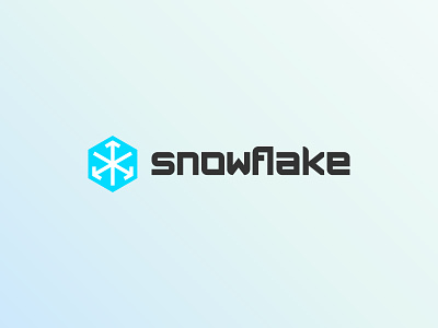 Snowflake logo brand branding cloud company design designer logo mark snowflake storage warehouse