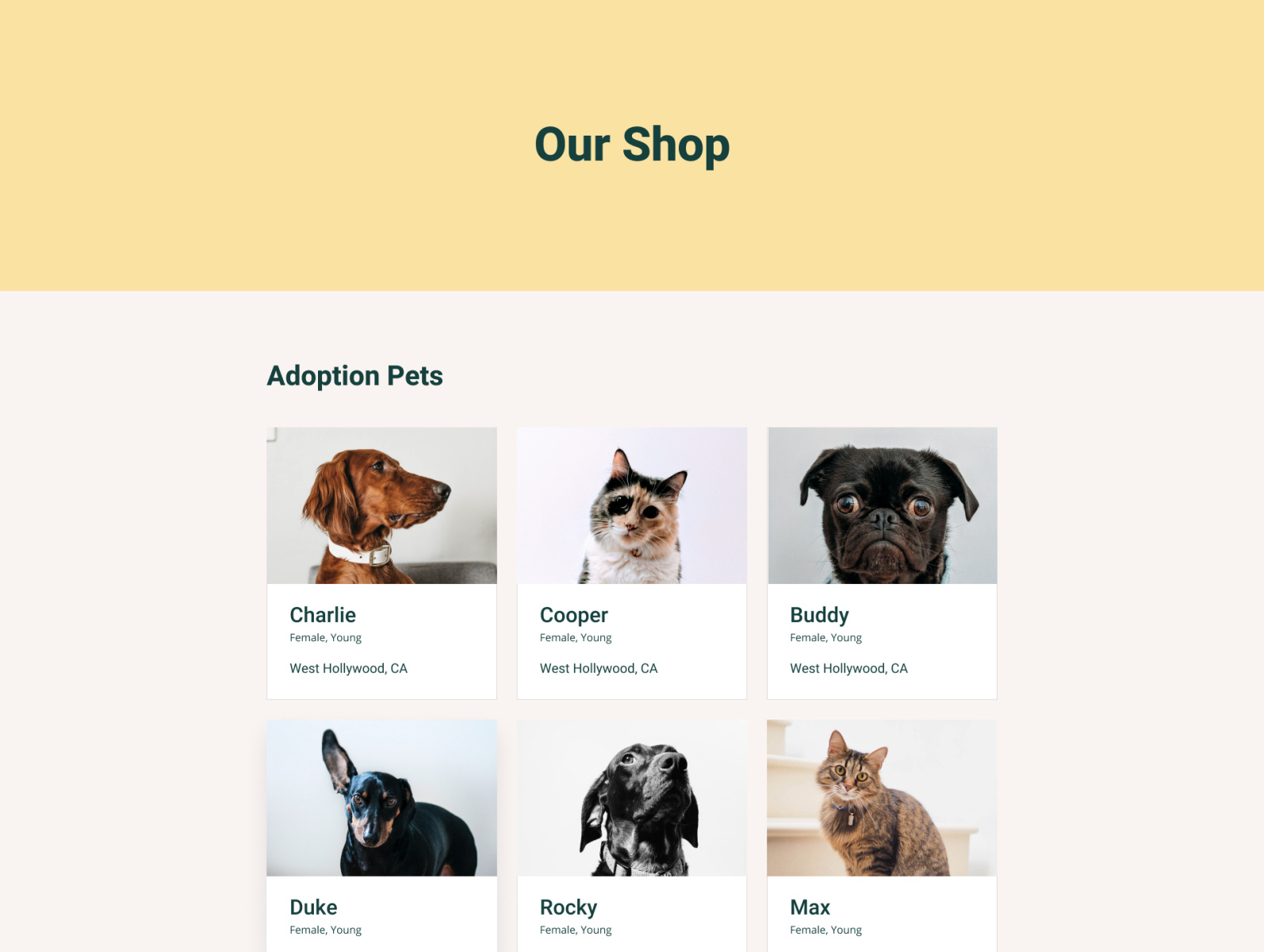 hollywood pet clinic