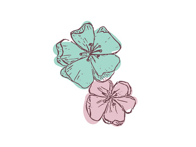 Flowers digital illustration drawing flowers illustration vector