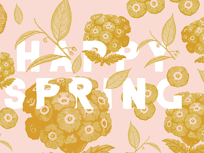 Happy Spring Wallpaper