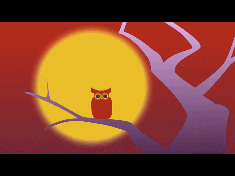 Sleepy Owl 2danimation aftereffects animated animatedgif animation animations bird cartoon cartoons cute cute animal cute owl cuteanimation cutebird flat gif motiongraphics owl
