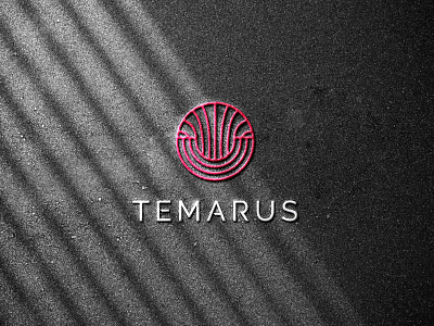 TEMARUS BRAND agency brand branding design identity illustration logo luxe new ui