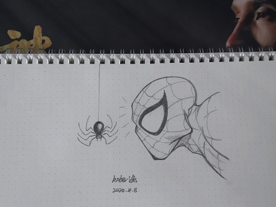 spider man design illustration
